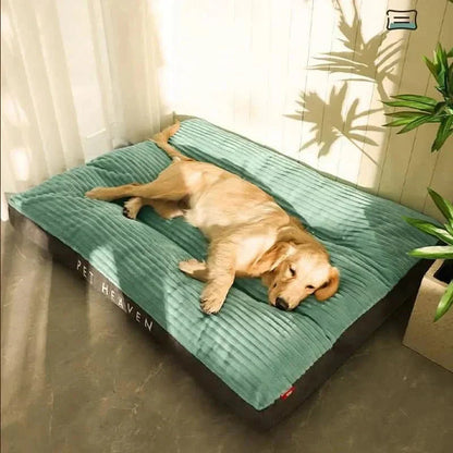 Davy | Serene Slumber: Supportive Bed for Peaceful Pups