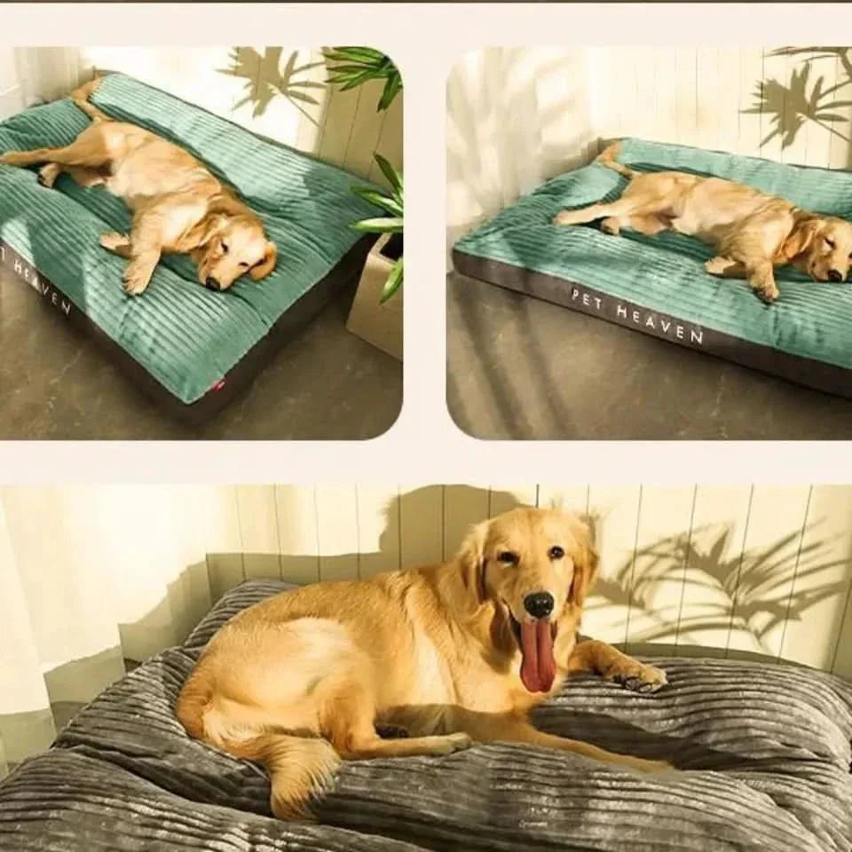 Davy | Serene Slumber: Supportive Bed for Peaceful Pups