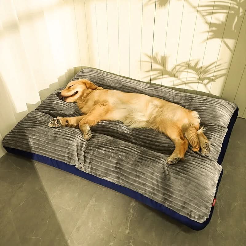 Davy | Serene Slumber: Supportive Bed for Peaceful Pups