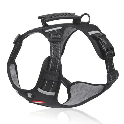 Davy | Dog No-Pull Harness with Padded Comfort and Reflective Accents