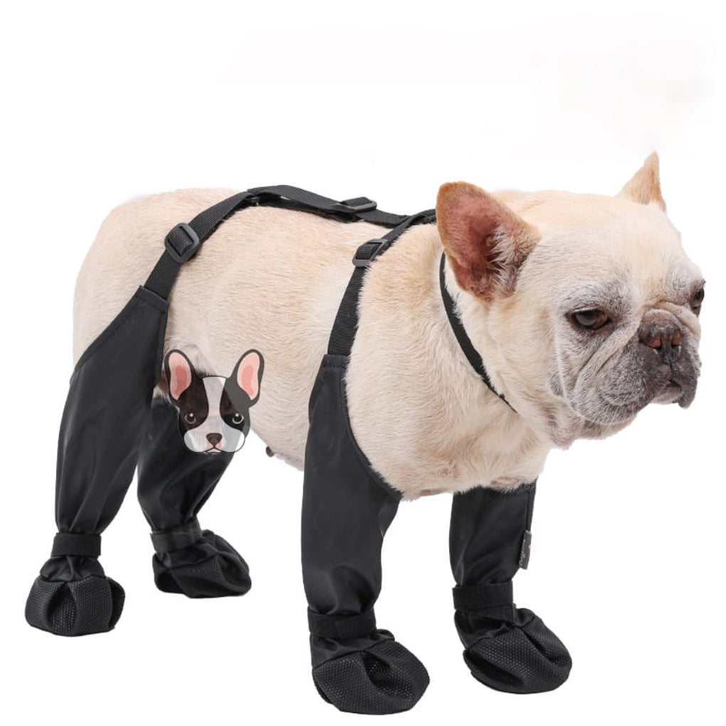 Davy | Dog Paw Protectors with Straps