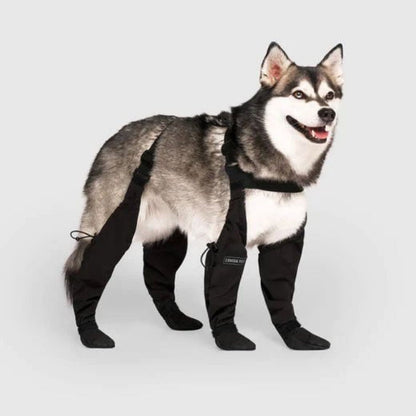Davy | Dog Paw Protectors with Straps