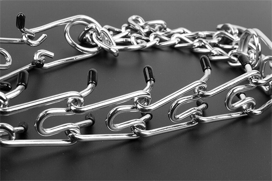 Davy | Dog Pincher Collar - Stylish B