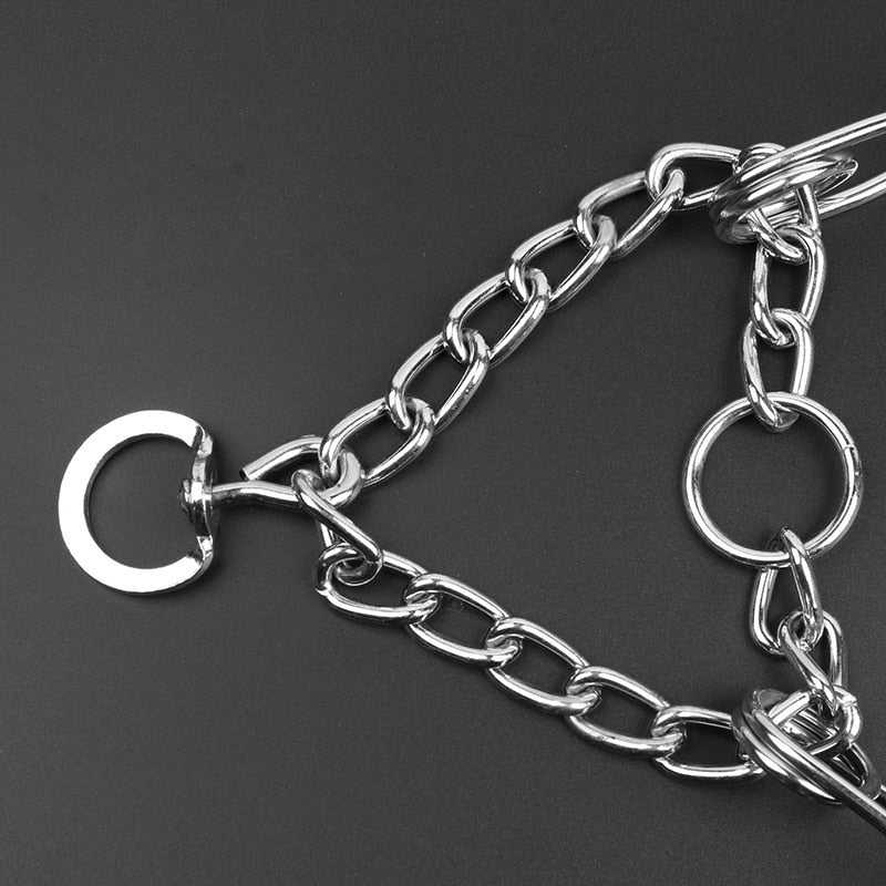 Davy | Dog Pincher Collar - Stylish B