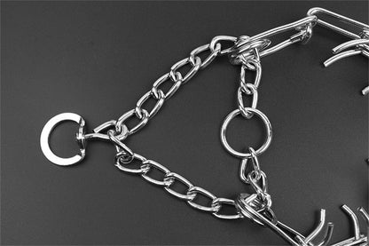 Davy | Dog Pincher Collar - Stylish B