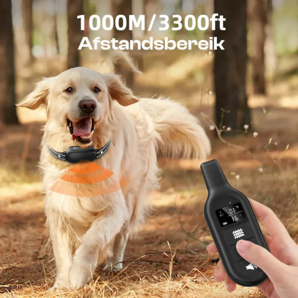 Davy | Dog Training Collar with Remote