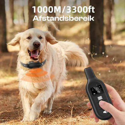 Davy | Dog Training Collar with Remote
