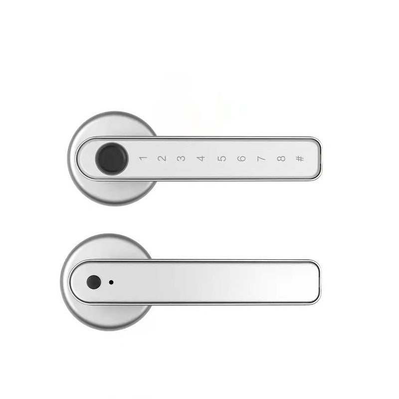 Davy | Fingerprint Smart Door Lock Handle with Bluetooth APP Control