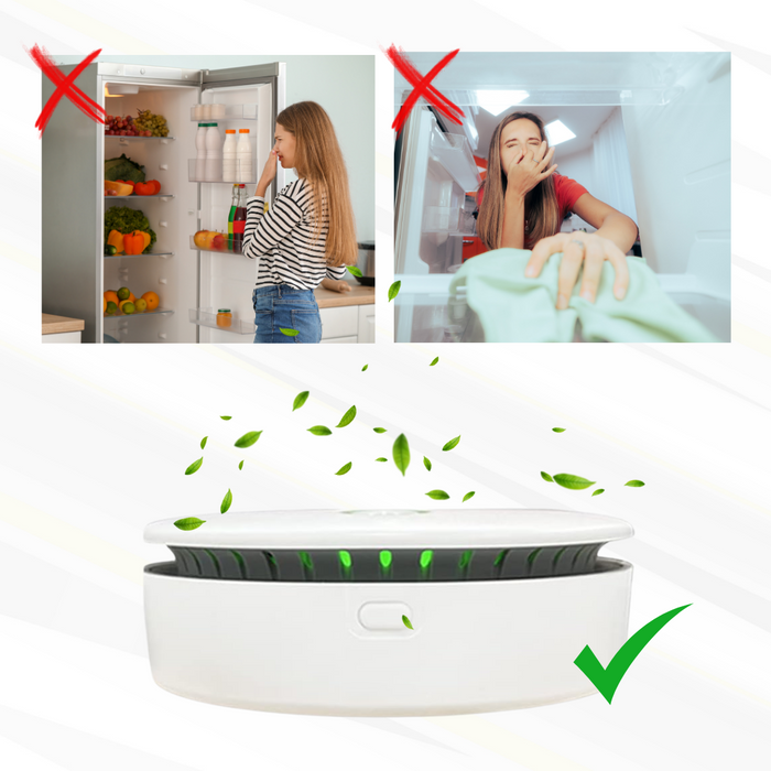 Davy | FreshAir Ozone Odor Eliminator – Portable Air Purifier for Smoke, Pet Odors & Household Smells