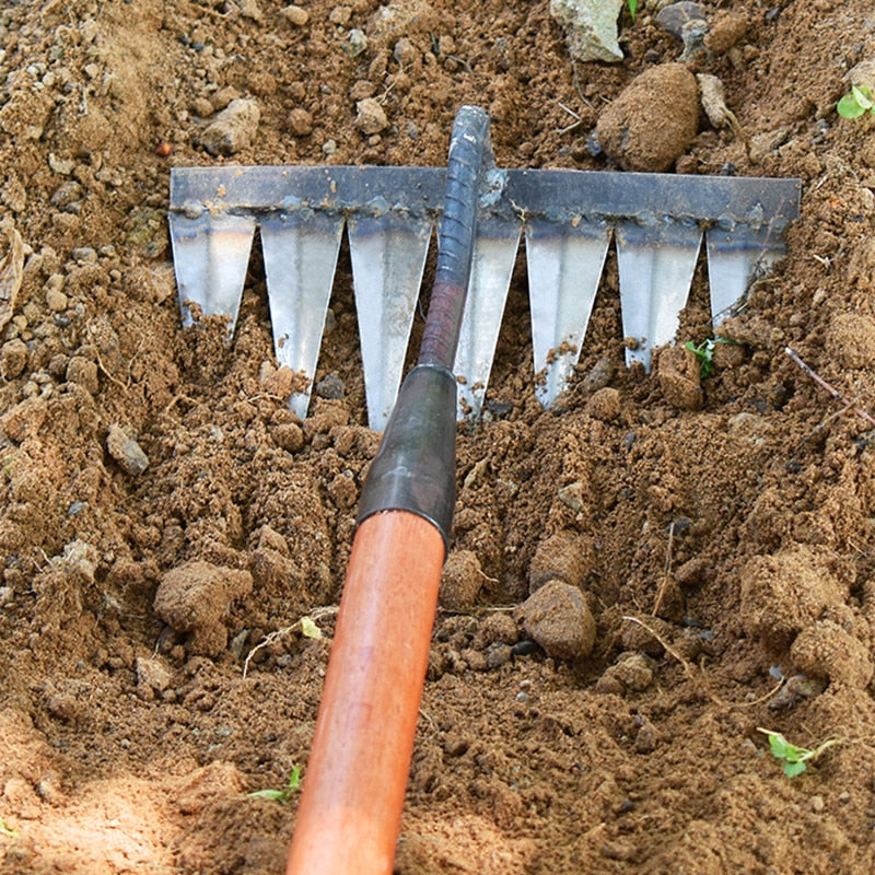 Davy | Sharp Tined Garden Rake for Efficient Weeding