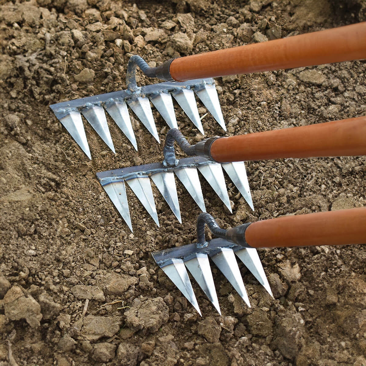 Davy | Sharp Tined Garden Rake for Efficient Weeding