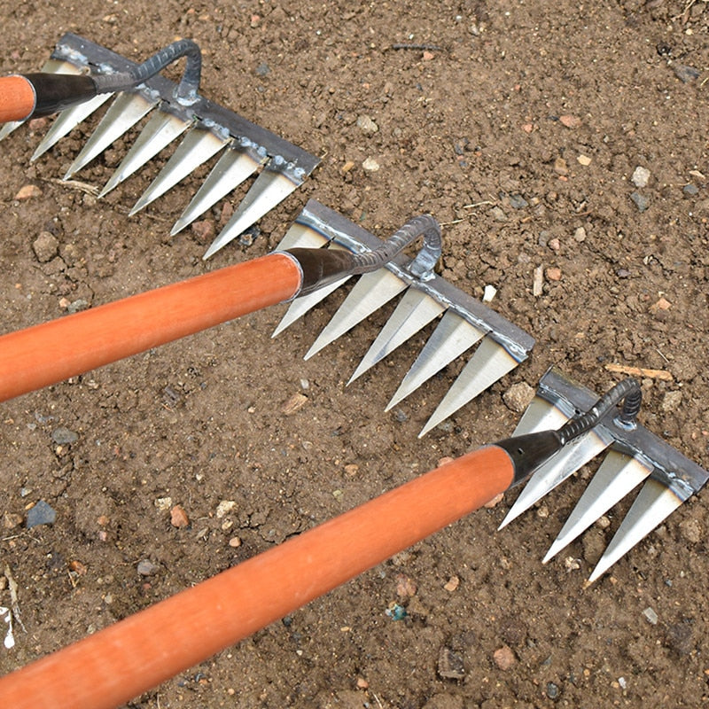 Davy | Sharp Tined Garden Rake for Efficient Weeding