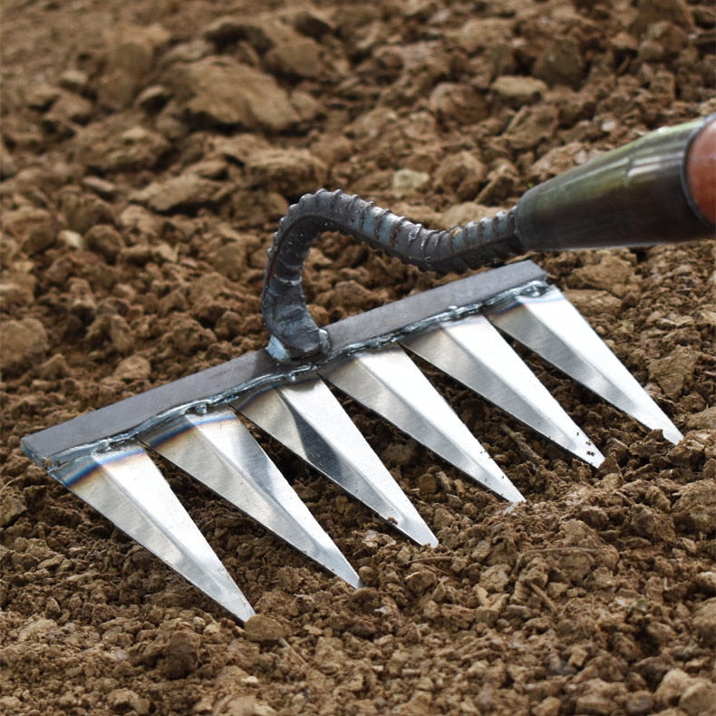 Davy | Sharp Tined Garden Rake for Efficient Weeding