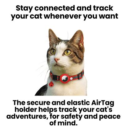 Davy | GPS Collar for Cats with Reflective Design