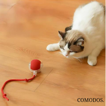 Davy | Interactive Cat Toy with Rope | Wobbling Ball