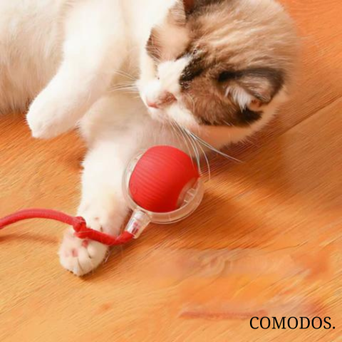 Davy | Interactive Cat Toy with Rope | Wobbling Ball