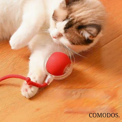 Davy | Interactive Cat Toy with Rope | Wobbling Ball