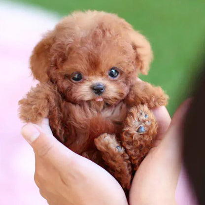 Davy | Interactive Plush Dog with Realistic Movements – For Children & Seniors