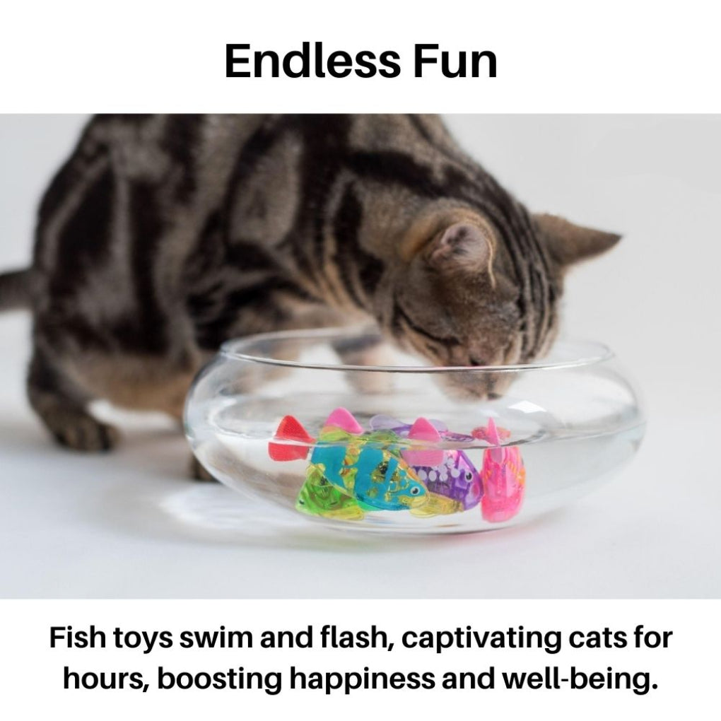 Davy | Interactive Swimming Cat Toy with Light