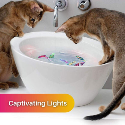 Davy | Interactive Swimming Cat Toy with Light