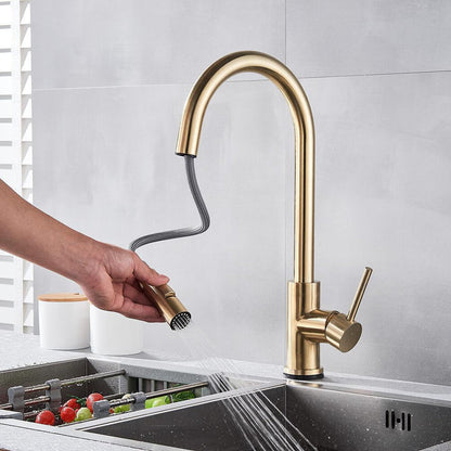 Davy | Kitchen Faucet with Motion Sensor, Pull-Out