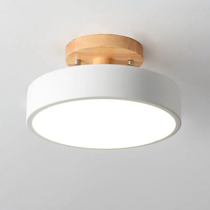 Davy LED Round Ceiling Lamp | Nordic Design | Semi-Flush Mounting | Economic Indoor Lighting