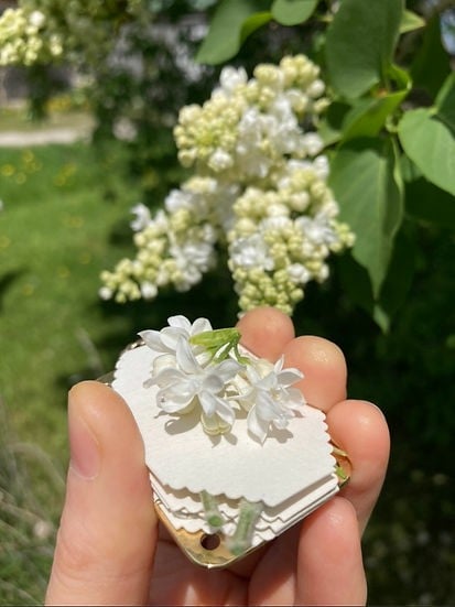 Davy | Mini Flower Press | Compact Botanical Keepsake Maker | Portable Craft Tool
