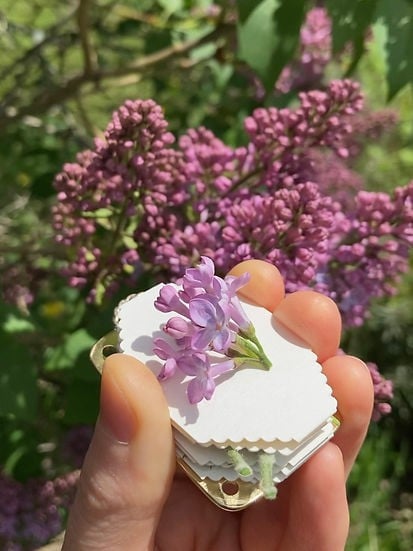 Davy | Mini Flower Press | Compact Botanical Keepsake Maker | Portable Craft Tool