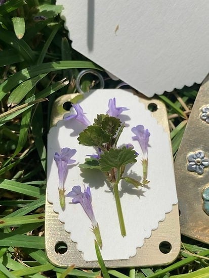 Davy | Mini Flower Press | Compact Botanical Keepsake Maker | Portable Craft Tool