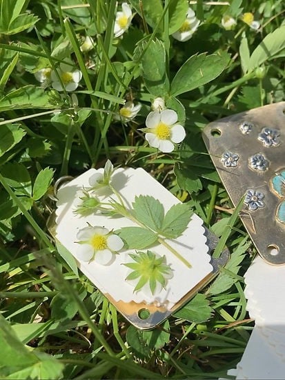 Davy | Mini Flower Press | Compact Botanical Keepsake Maker | Portable Craft Tool