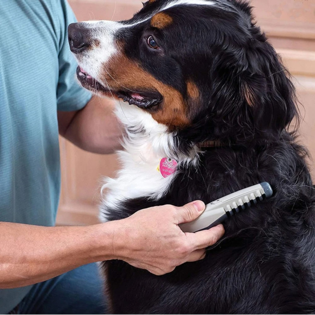 Davy | No more knots and tangles for your pet