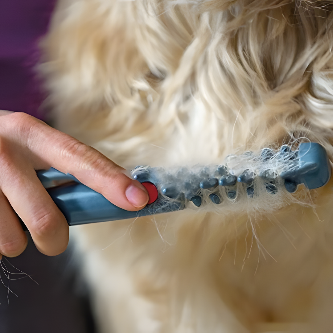 Davy | No more knots and tangles for your pet