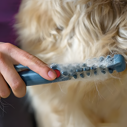Davy | No more knots and tangles for your pet