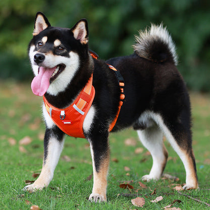 Davy | No Pull Dog Harness Reflective