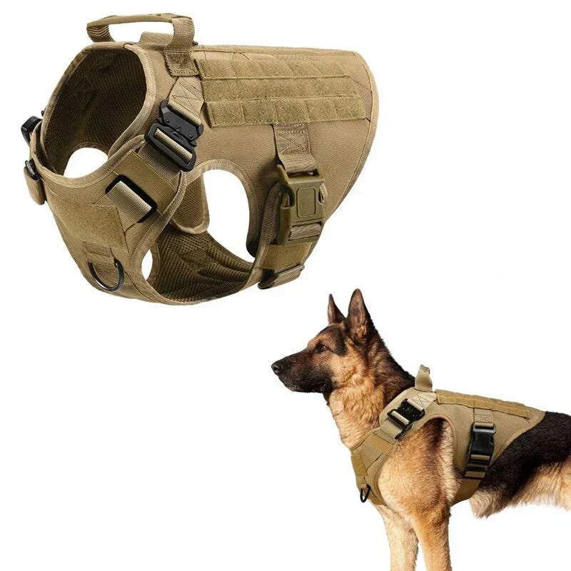 Davy | No-Pull Dog Training Harness