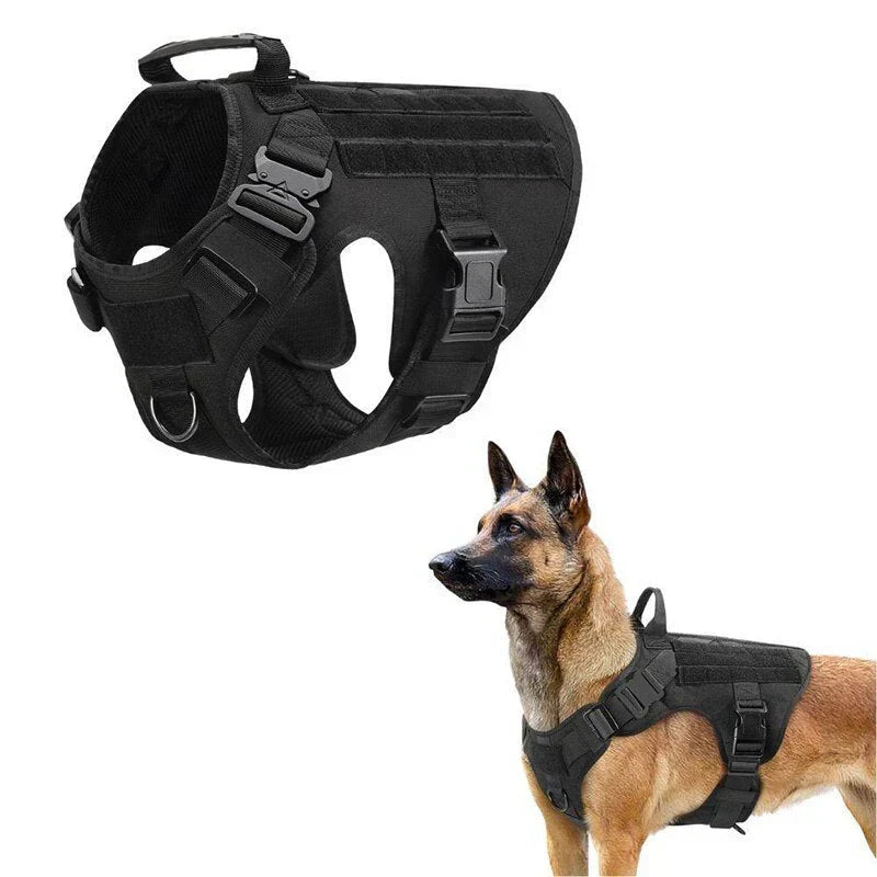 Davy | No-Pull Dog Training Harness