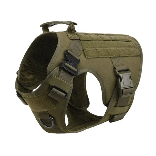 Davy | No-Pull Dog Training Harness
