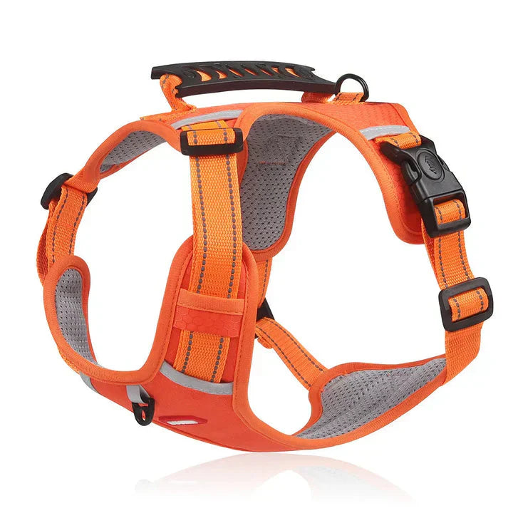 Davy | No-Pull Dog Vest with Padded Chest Strap & Reflective Strips