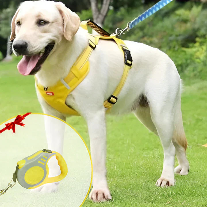 Davy | No-Pull Dog Vest with Padded Chest Strap & Reflective Strips