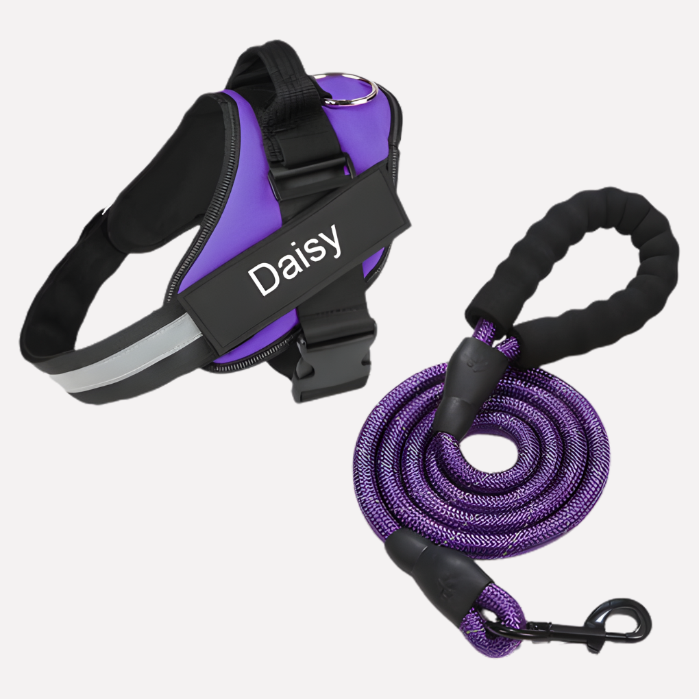 Davy | Personalized Dog Harness for No-Pull