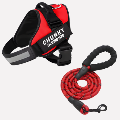 Davy | Personalized Dog Harness for No-Pull