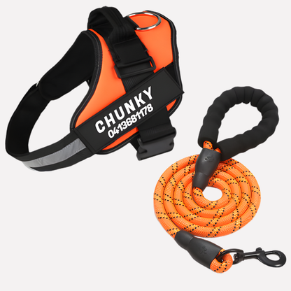 Davy | Personalized Dog Harness for No-Pull