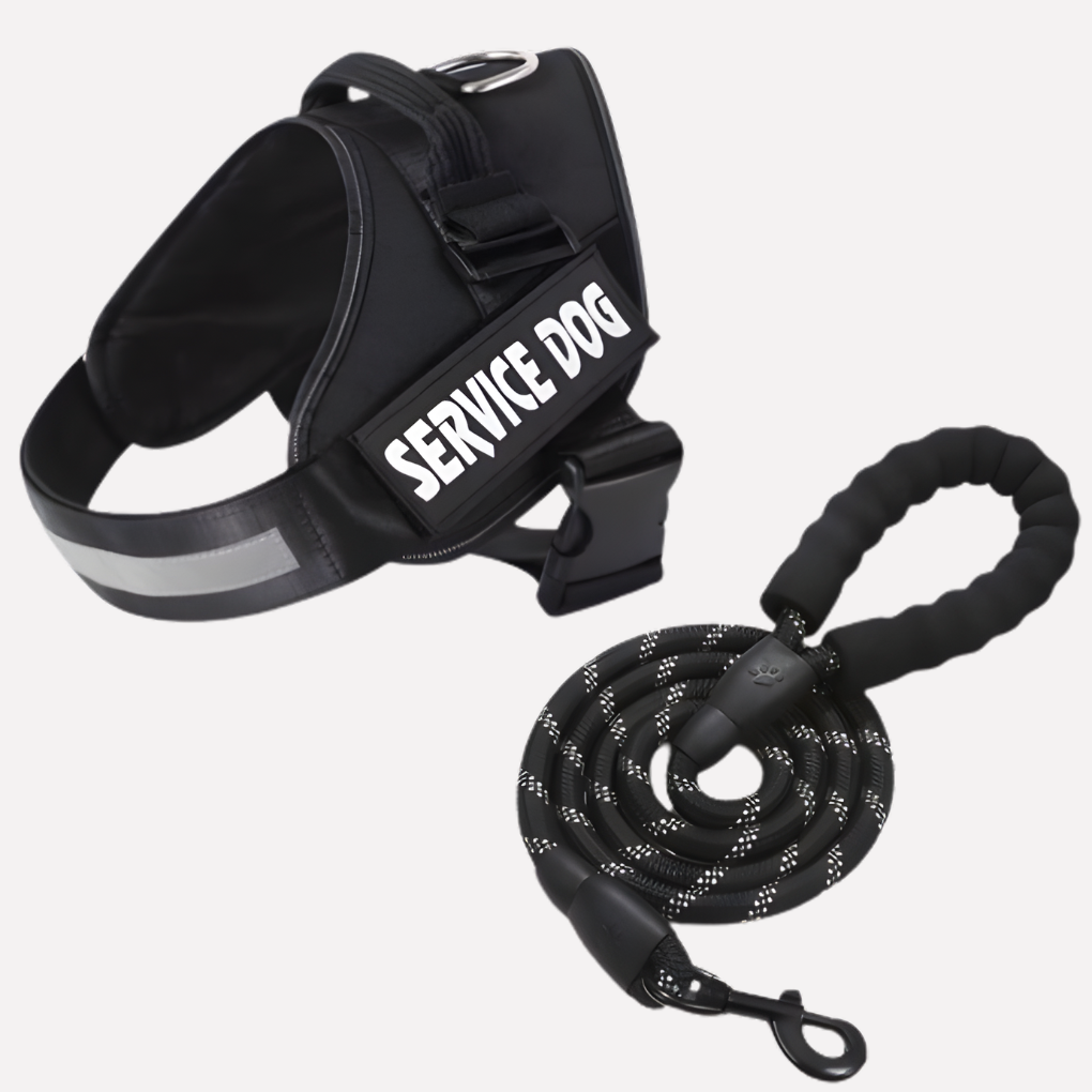 Davy | Personalized Dog Harness for No-Pull