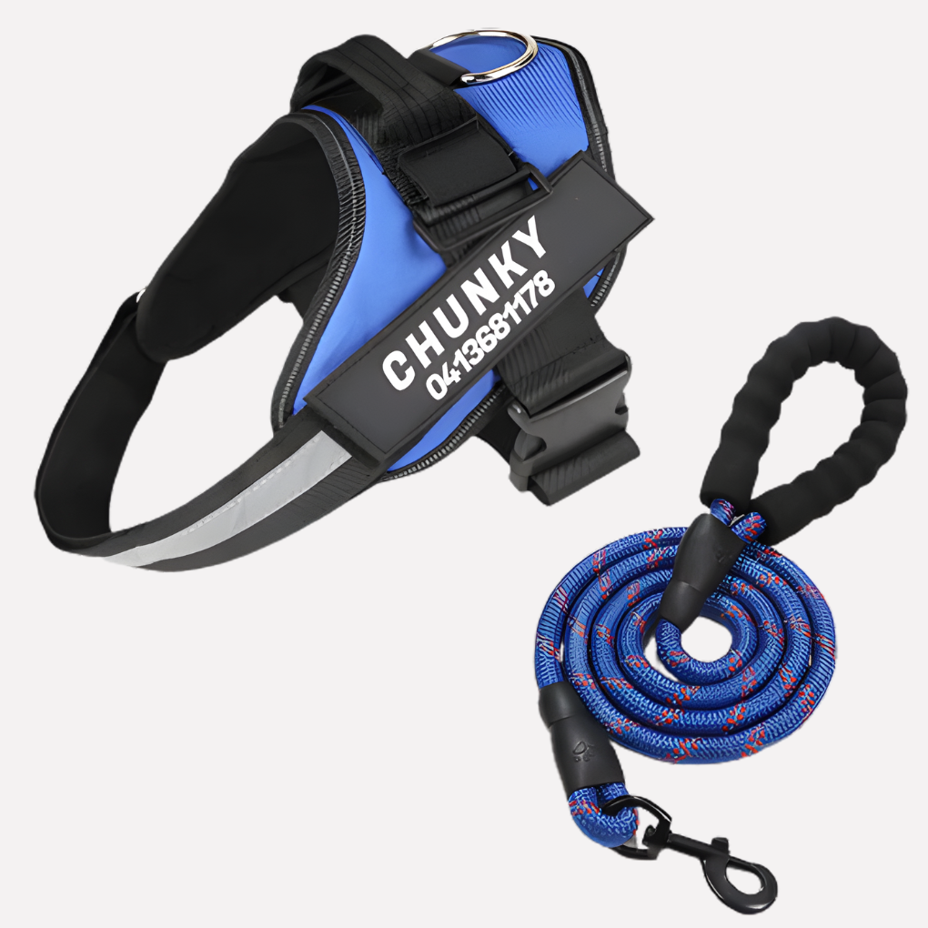 Davy | Personalized Dog Harness for No-Pull