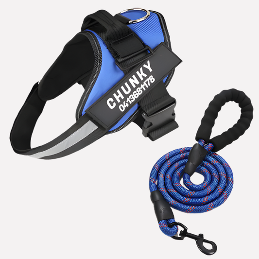 Davy | Personalized Front-Clip Dog Harness for No-Pull Walking