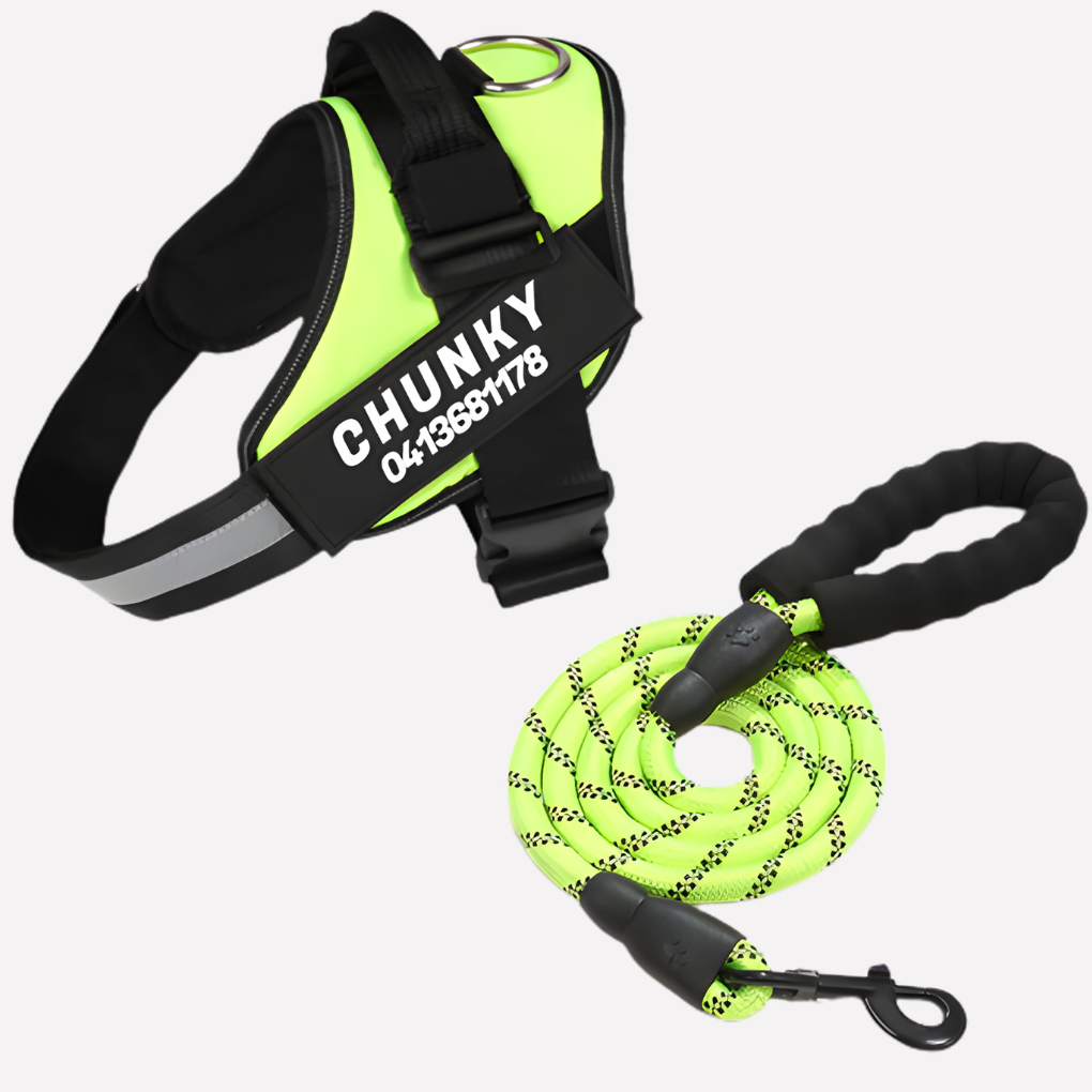 Davy | Personalized Front-Clip Dog Harness for No-Pull Walking