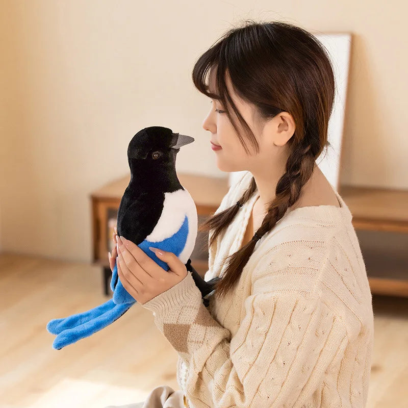 Davy | Pigeon Snuggly Plush Toy