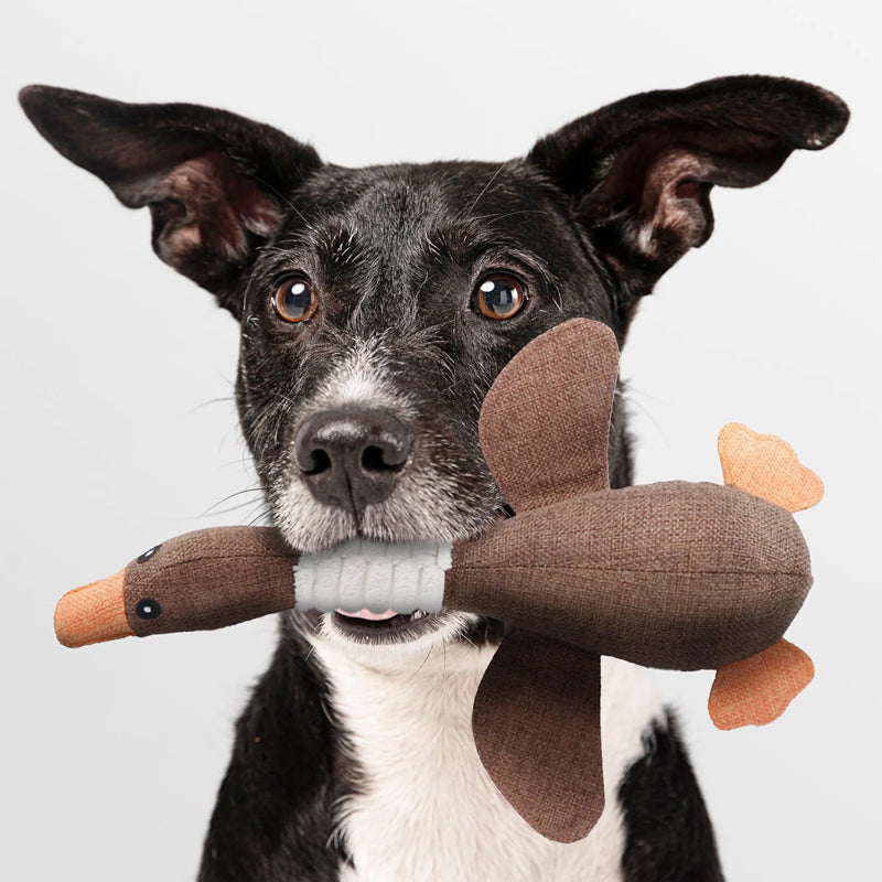 Davy | Plush Duck Dog Toy with Squeaker