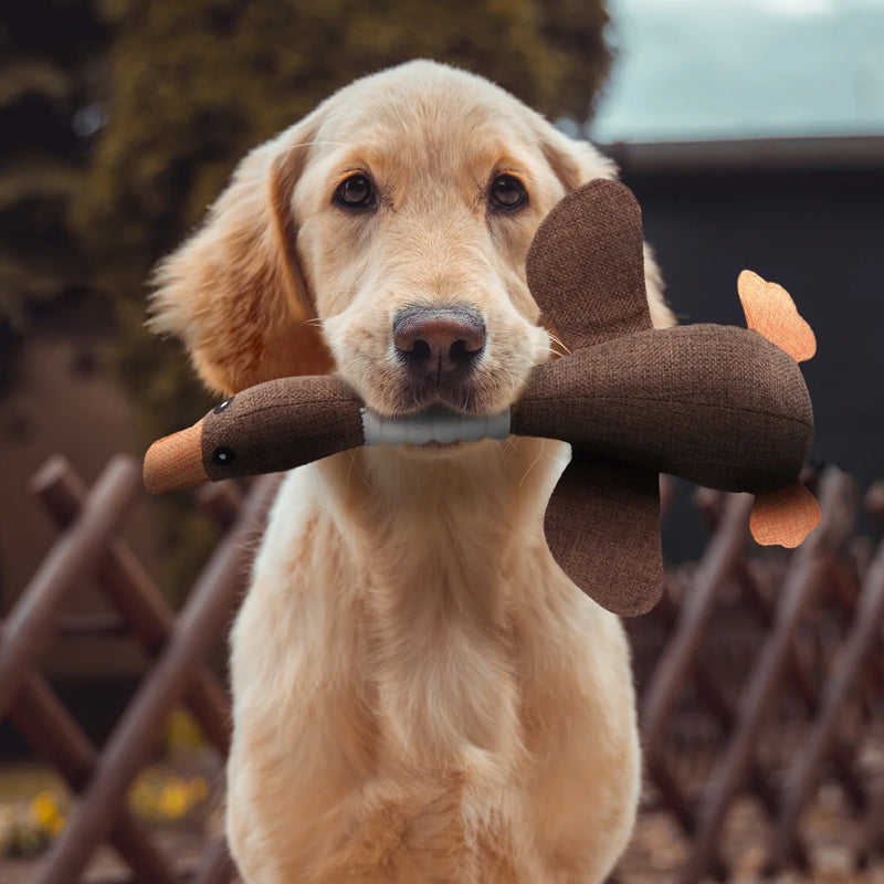 Davy | Plush Duck Dog Toy with Squeaker