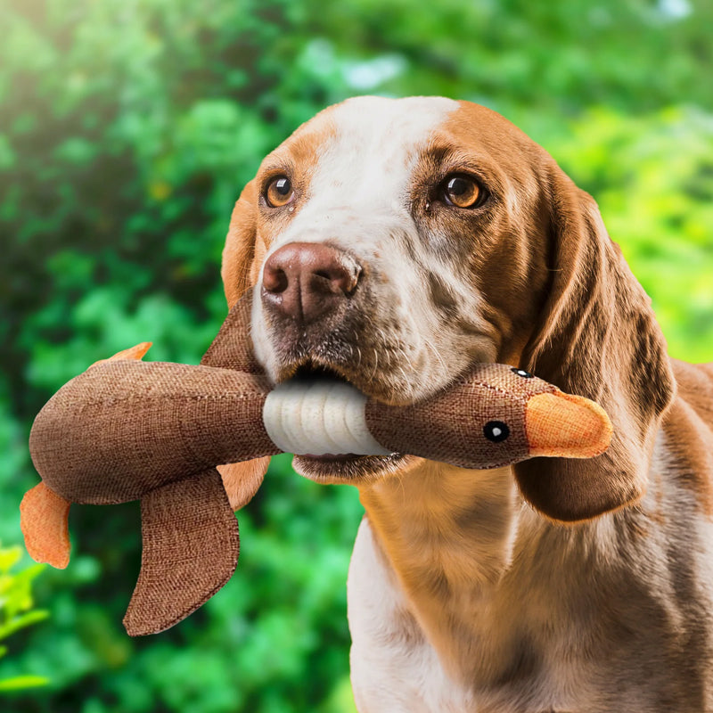 Davy | Plush Duck Dog Toy with Squeaker